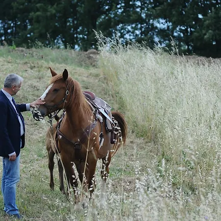 Eliceto & Ξενοδοχείο 4*