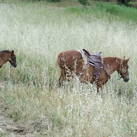 ホテル Eliceto & Buccino